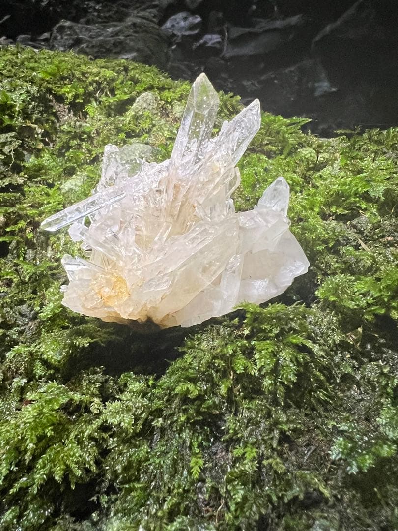 龍脈の精髄 水晶クラスター 「光を宿す透明なる守護」 九州産国産水晶宝石質AAA