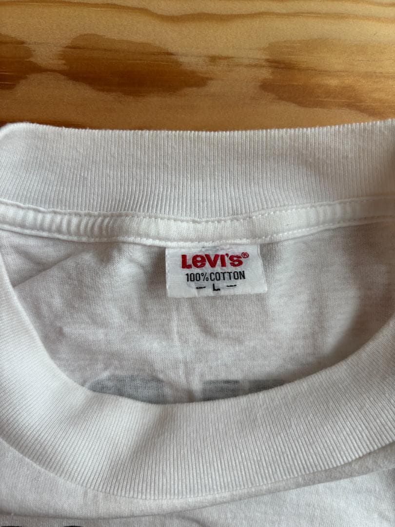 第一回フジロック 1997 セキュリティTシャツ L