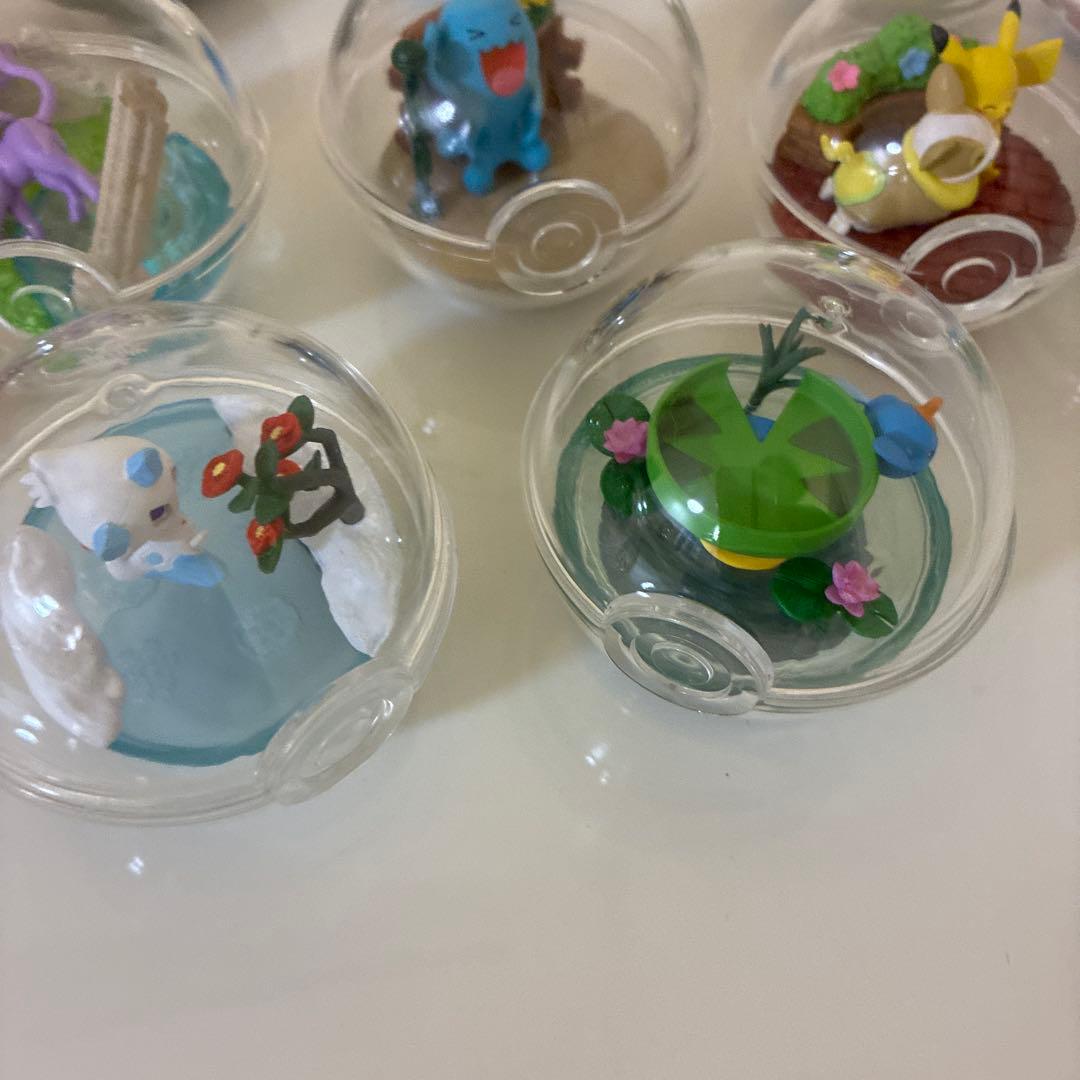 右上！ポケモン テラリウムコレクション 12種