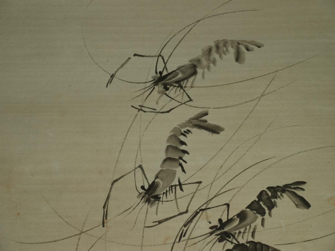 骨董市仕入れ品　中国近時代 白石作 虾図 掛軸　肉筆保証 BD620C11-4