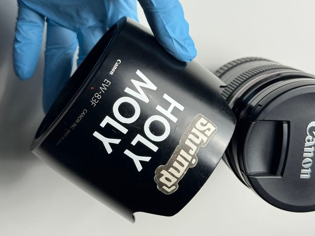 Canon EF 24-70mm F2.8 L USM キャノン EFレンズ