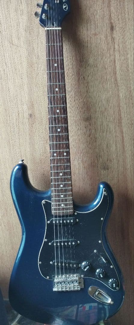 ●SELVA エレキギター セルバ