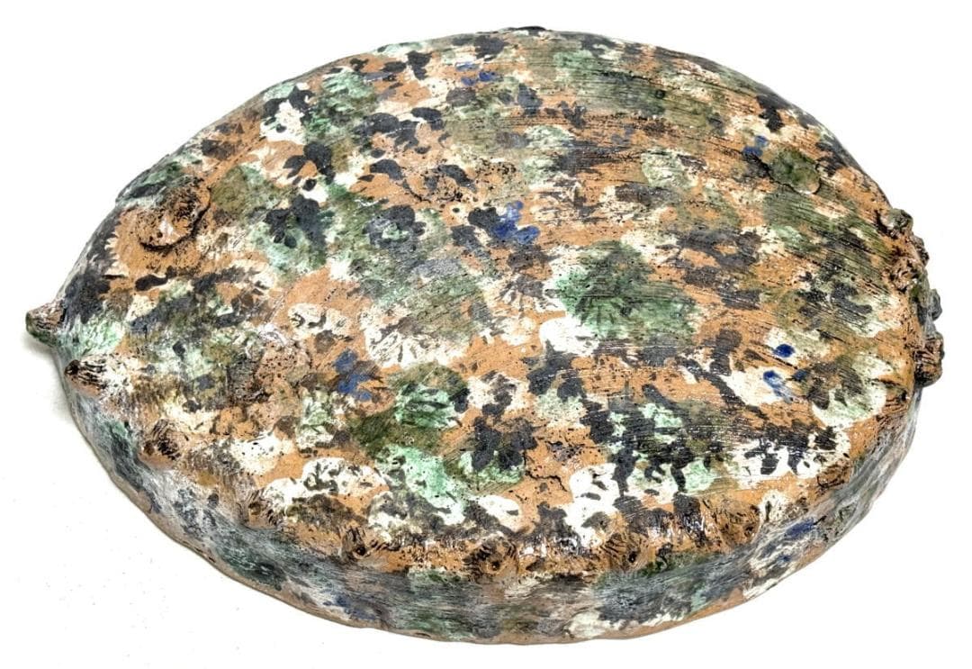 古美術 大振り鮑貝形水盤 花器 華道具 ウブ品 日本古玩 伝世品焼WWTT127