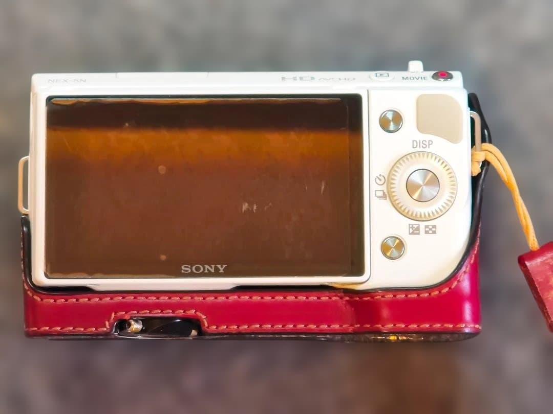 レンズ(単焦点) Voigtlander SKOPER 3.5 f5cm Sony NEX 5N