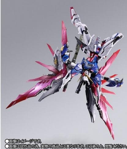 初*カ様 L BUILD デスティニーガンダム（フルパッケージ）