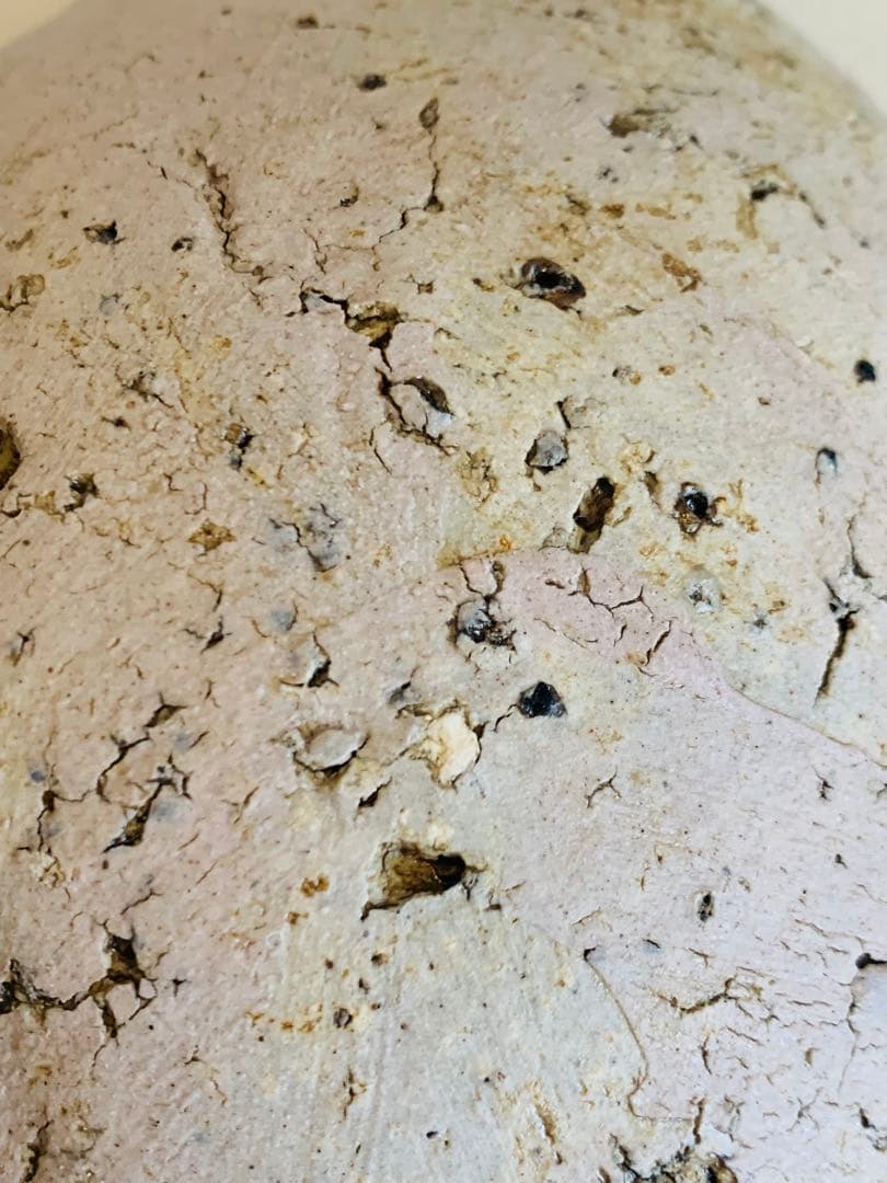 内田鋼一　加彩　ボウル　bowl 花器