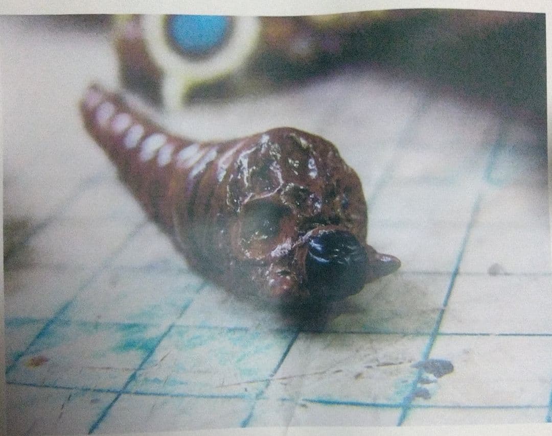 FUTUREWORLD3 モスラ対ゴジラ1961 モスラ 成虫・幼虫2体セット