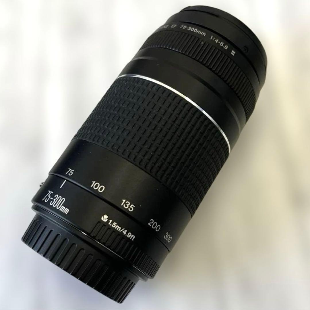 Canon 75-300mm ズームレンズ