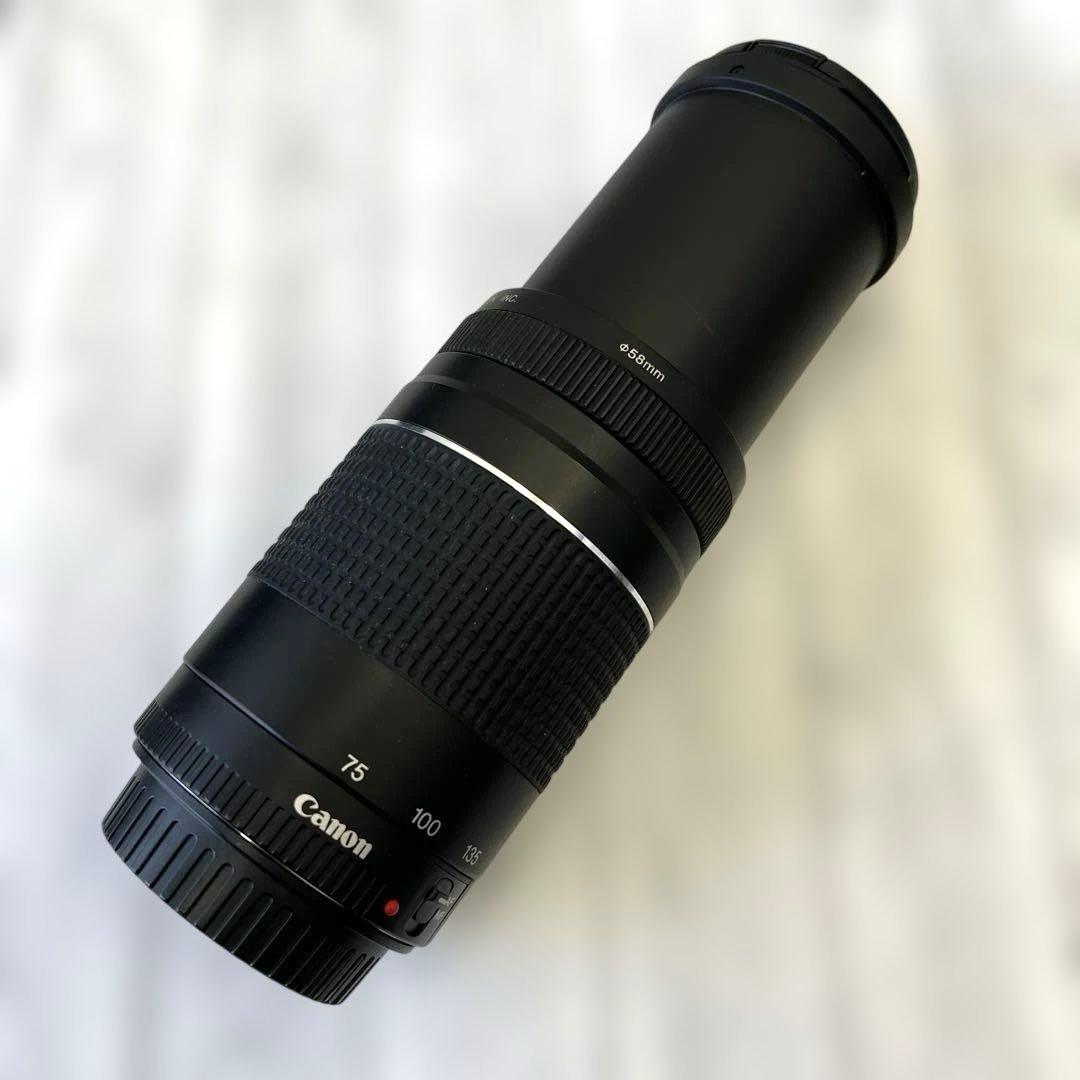 Canon 75-300mm ズームレンズ