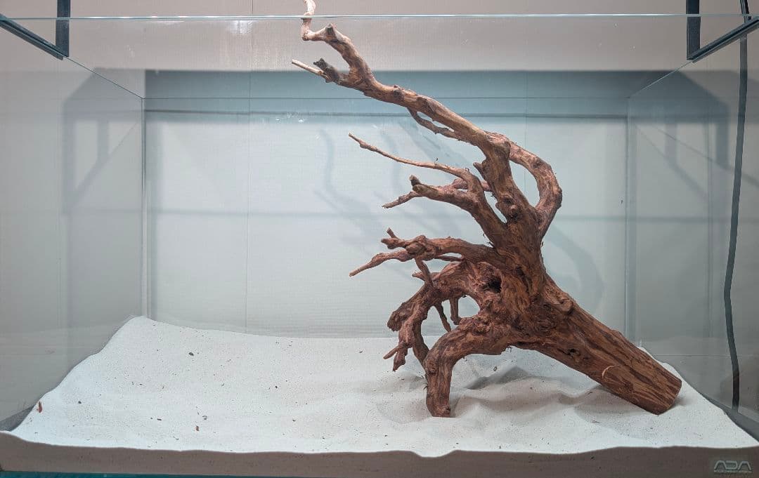 スマトラブランチウッド【SBC134】アクアリウム 水槽 流木 まとめ買い対応