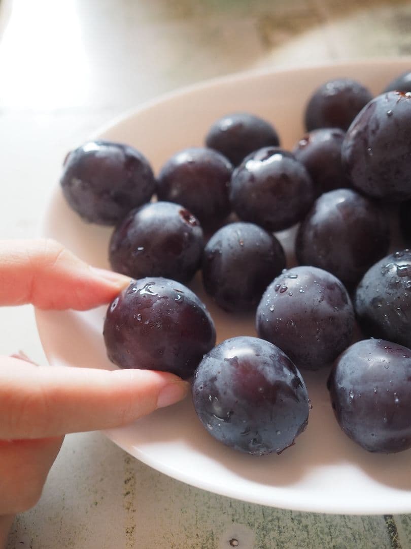 OLYMPUS OM-D E-M10 MarkⅢ 望遠レンズ予備バッテリー付き