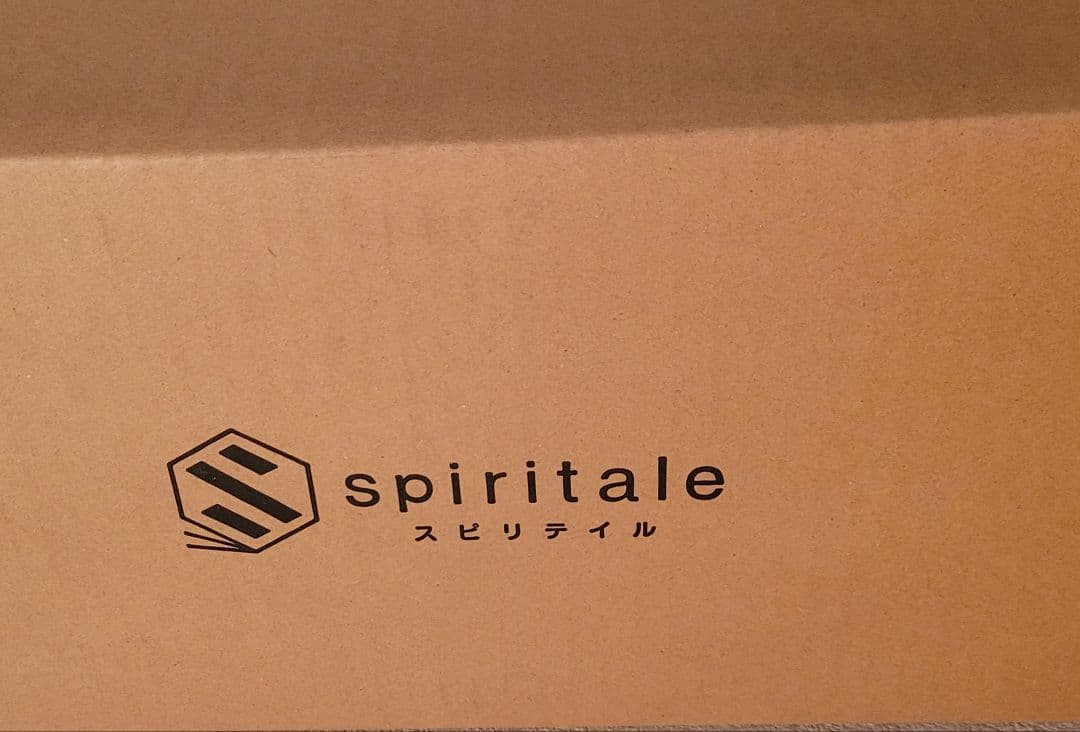 ライザ ー黒水着日焼けver.ー 1/6スケールフィギュア　spiritale