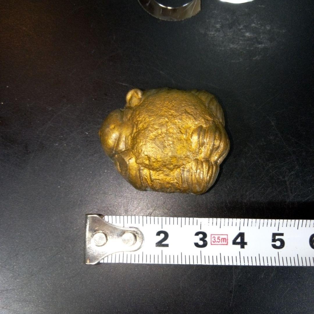 三葉虫　化石　fossil　ボリビア産　レア　Fossil管理②