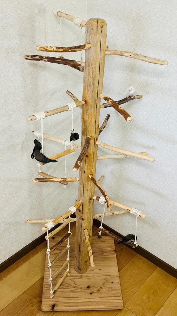 【中型鳥用】ブランコ＆はしごで楽しいバードアスレチック