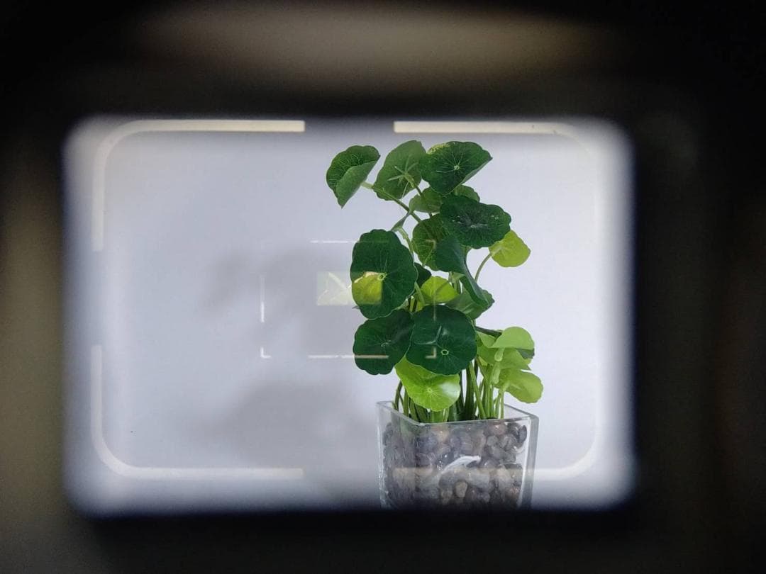 [動作品] Leica M3 ライカ レンジファインダー フィルムカメラ