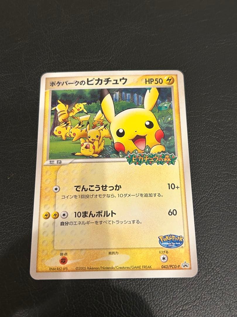 ポケパークのピカチュウ