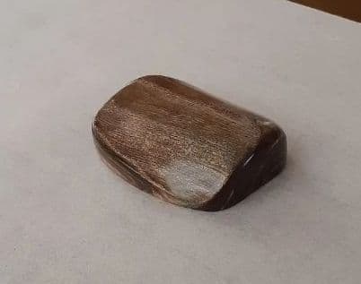 121.世界にひとつだけ！青珊瑚(レインボーコーラル)のアクセサリーパーツ