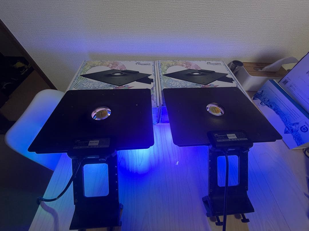 maxspect ETHEREAL 2個セット