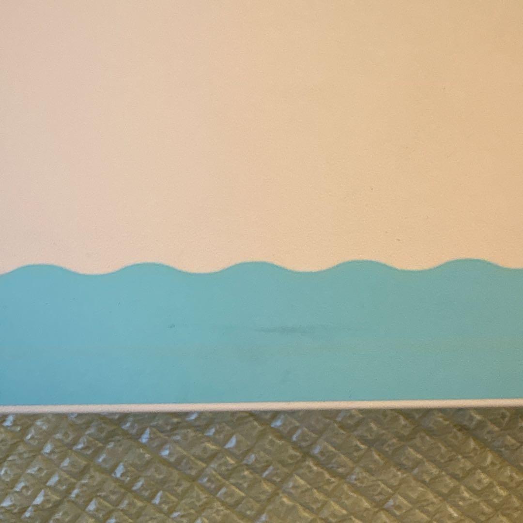 Nintendo Switch あつまれ どうぶつの森セット　ケース付き