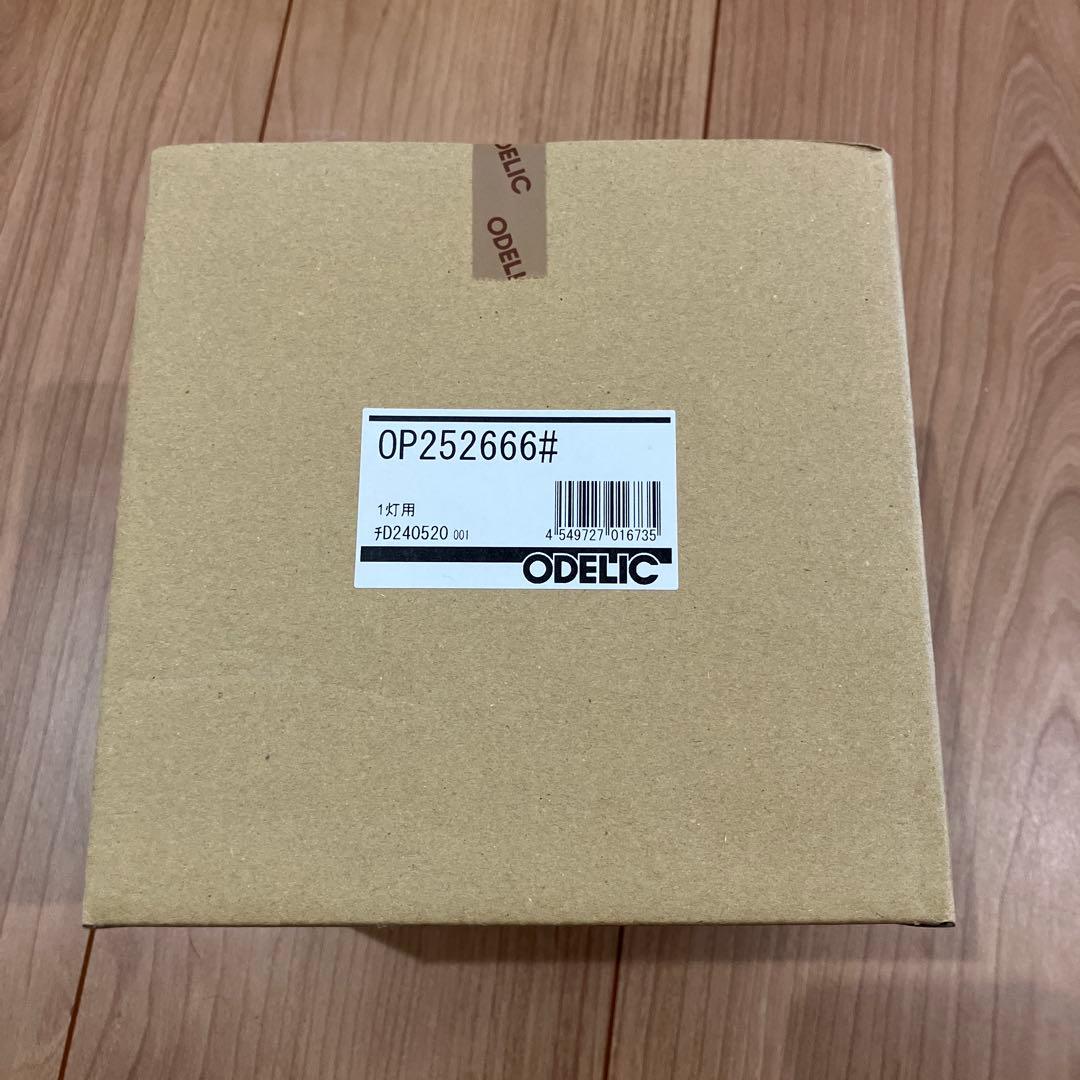 【専用】Drop ペンダントライト ダクトレール用・調光調色 2個セット