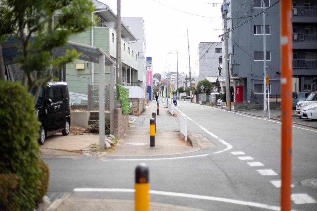 レンズ(単焦点) Carl Zeiss Planar 50mm f1.4 ZE For Canon