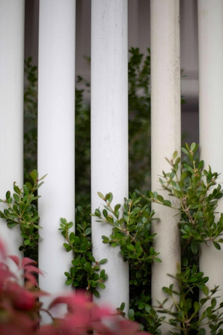 レンズ(単焦点) Carl Zeiss Planar 50mm f1.4 ZE For Canon