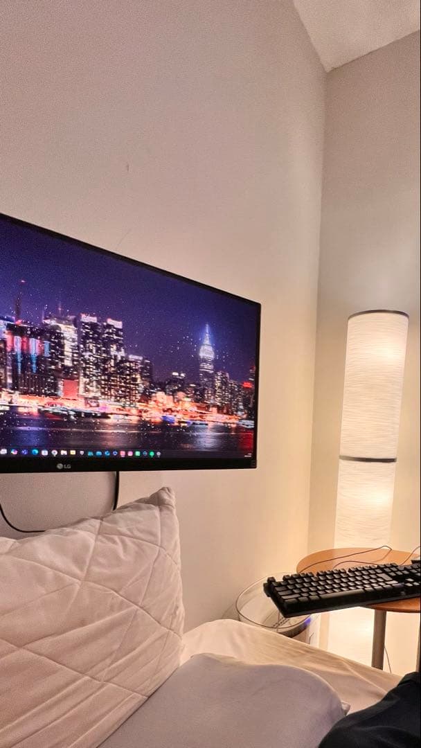 LG29インチウルトラワイドモニター 29WP500-B