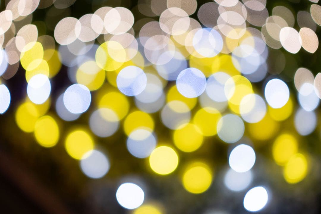 値下げ可 FE 55mm F1.8 za SONY 単焦点レンズ 作例あり