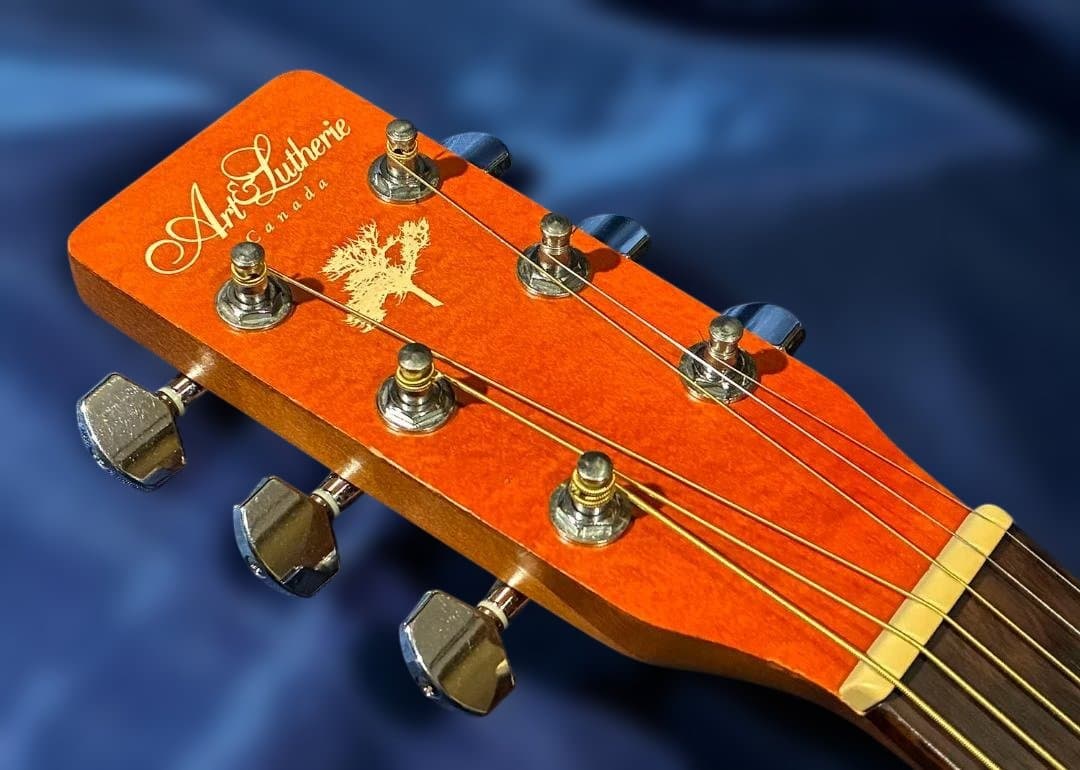 Art&Lutherie Folk Cedar Sunrise 　試聴動画有り