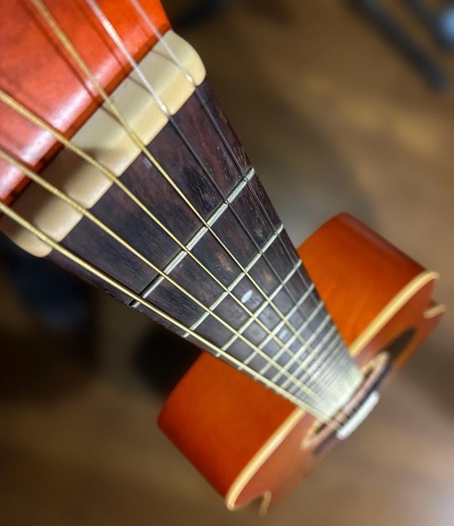 Art&Lutherie Folk Cedar Sunrise 　試聴動画有り