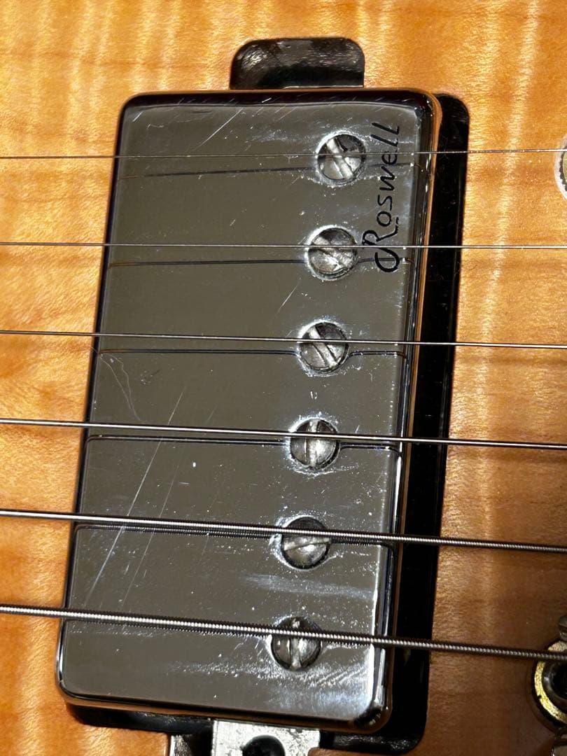 ギター Harley Benton Fusion-T HH Roasted