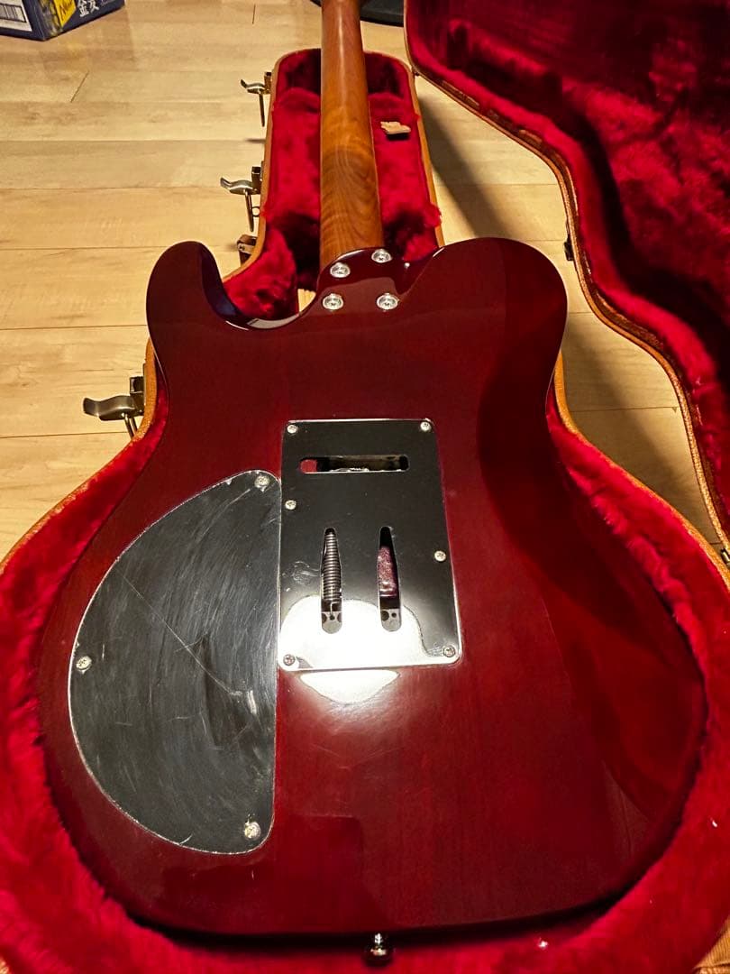 ギター Harley Benton Fusion-T HH Roasted