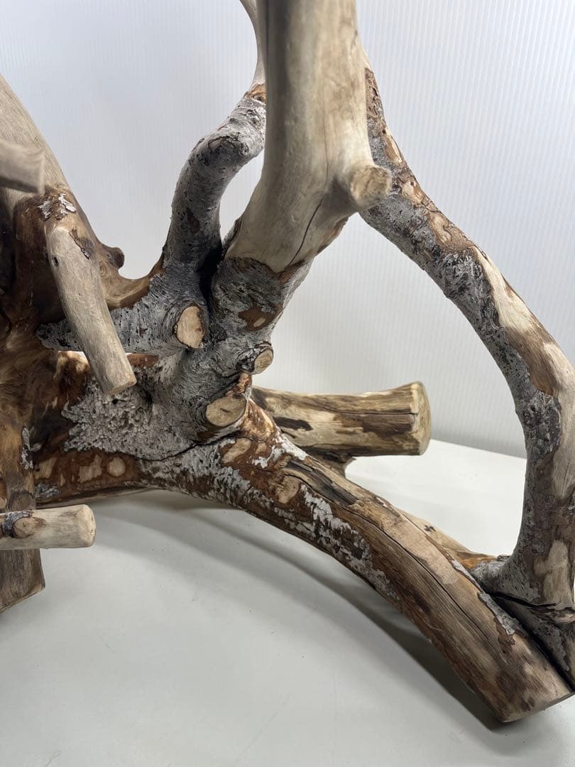 W21特大流木 アク抜き済み流木 爬虫類シェルター 止まり木 バードアスレチック