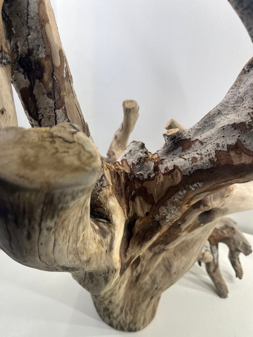 W21特大流木 アク抜き済み流木 爬虫類シェルター 止まり木 バードアスレチック