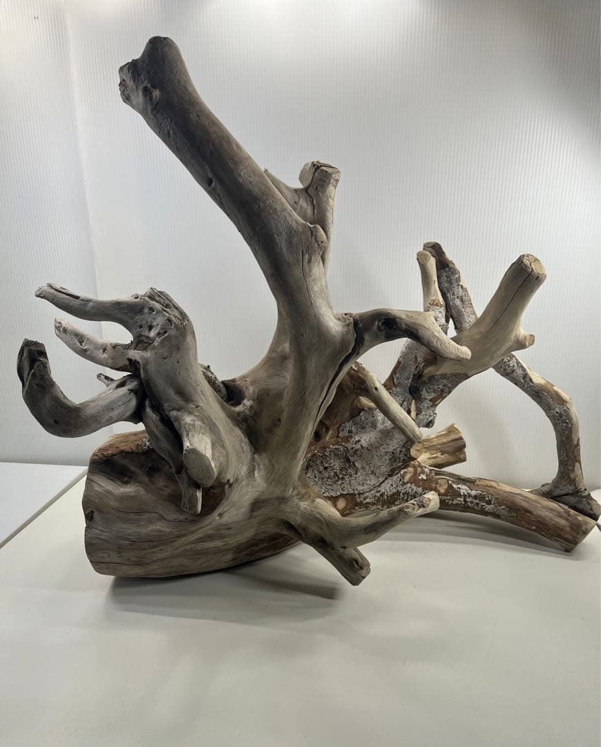 W21特大流木 アク抜き済み流木 爬虫類シェルター 止まり木 バードアスレチック