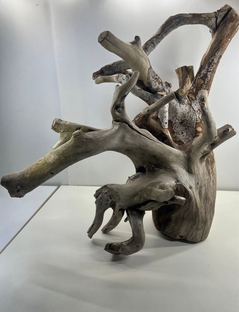 W21特大流木 アク抜き済み流木 爬虫類シェルター 止まり木 バードアスレチック