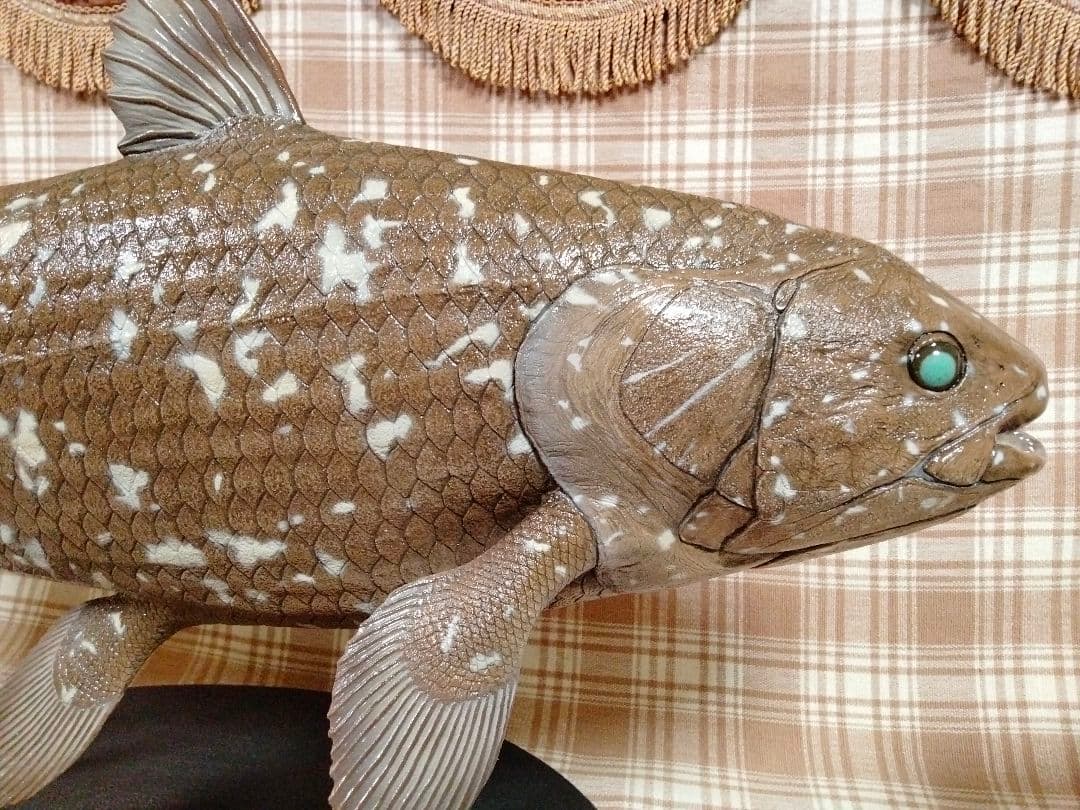 ハンドメイド　61cmシーラカンス　茶色　フィギュア　レプリカ　化石魚　置物