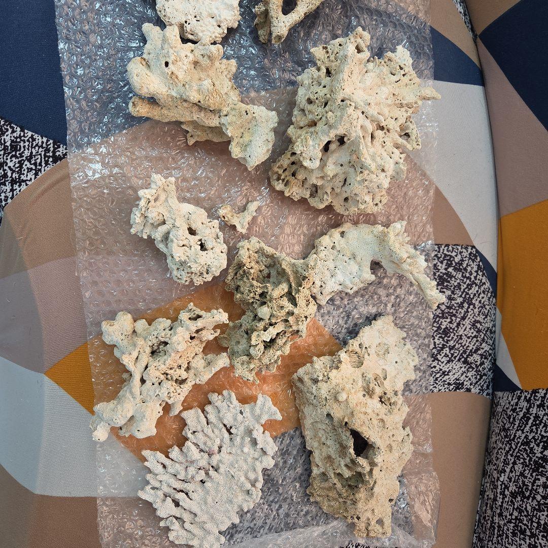 値下げ　水槽用サンゴ石セット　ライブロック　海水　淡水