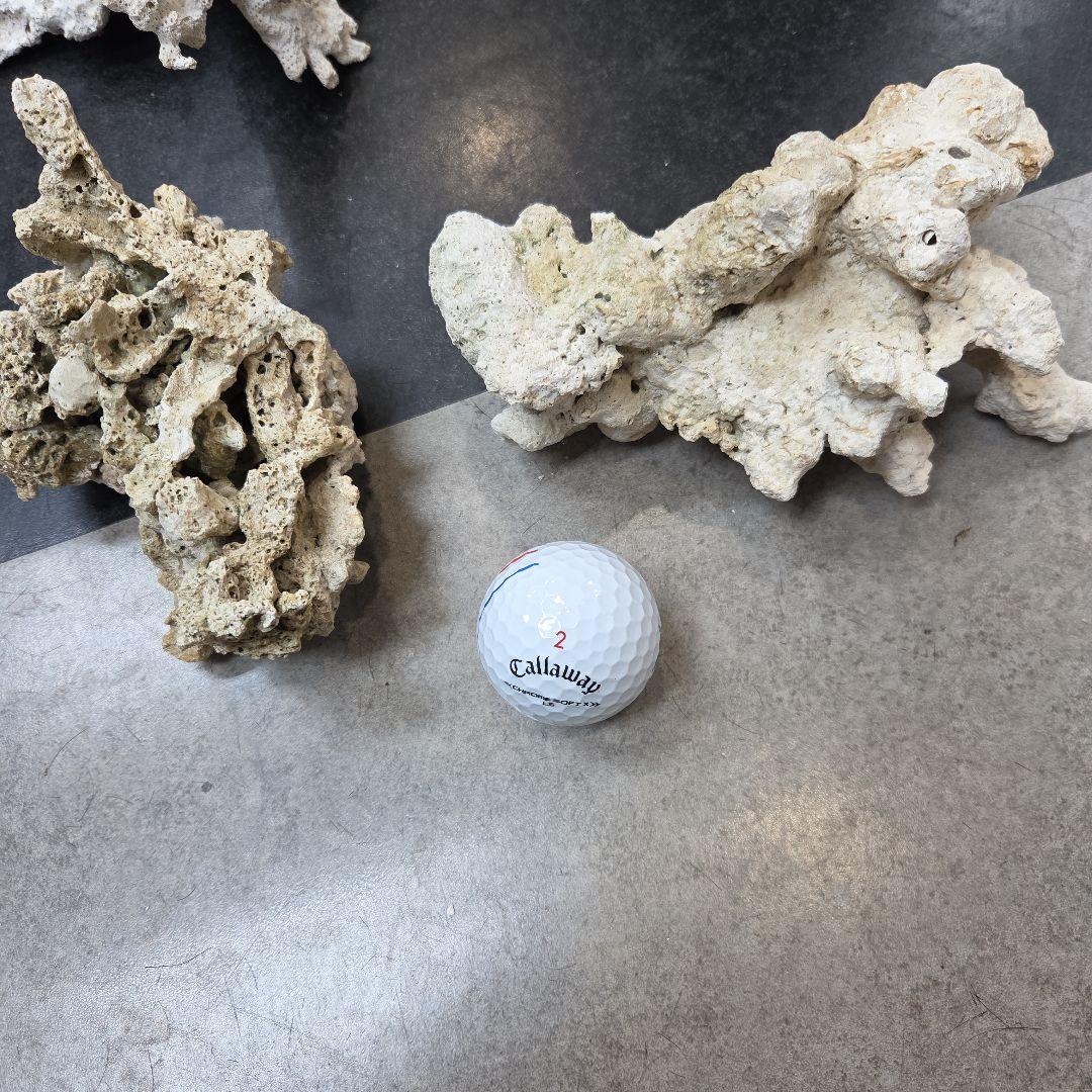 値下げ　水槽用サンゴ石セット　ライブロック　海水　淡水