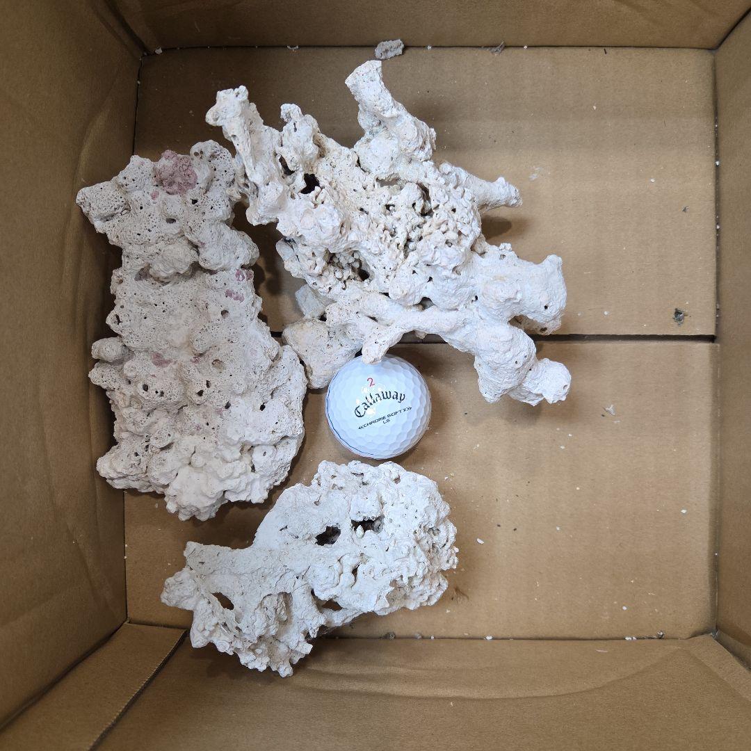 値下げ　水槽用サンゴ石セット　ライブロック　海水　淡水