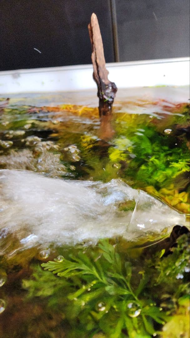 ADA　スーパージェットフィルターES-1200