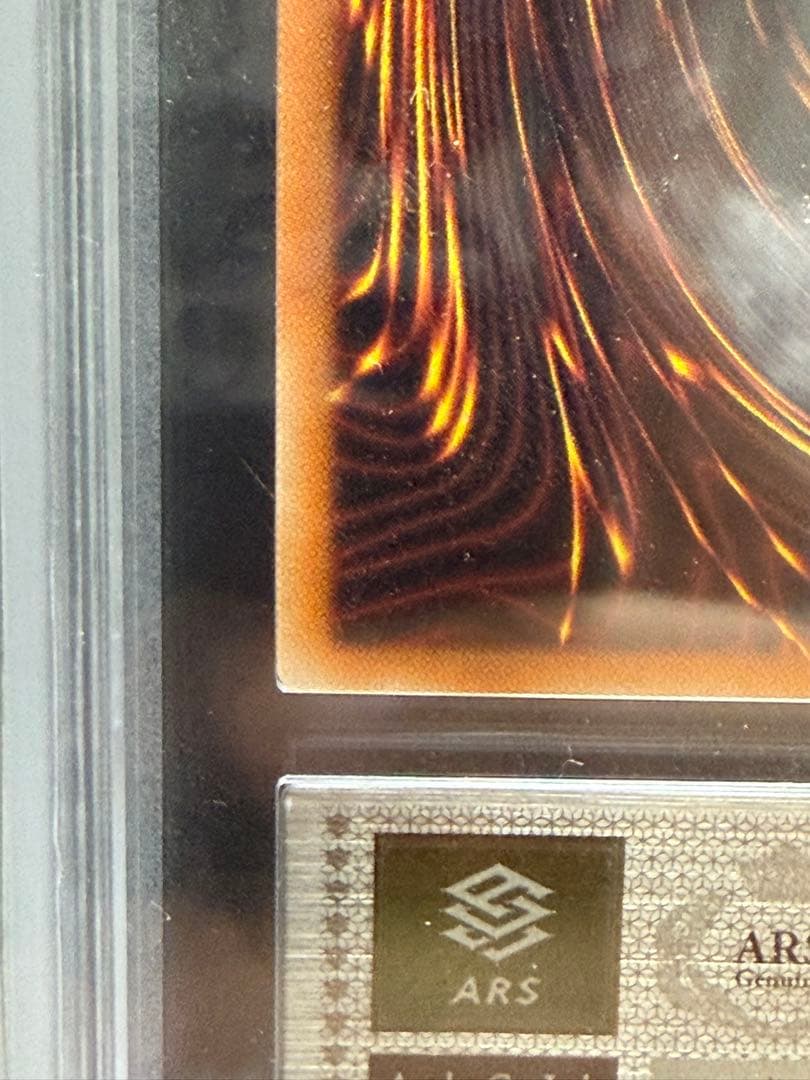 ARS10＋ブルーアイズシークレット海馬セット鑑定書スクリューダウン付き