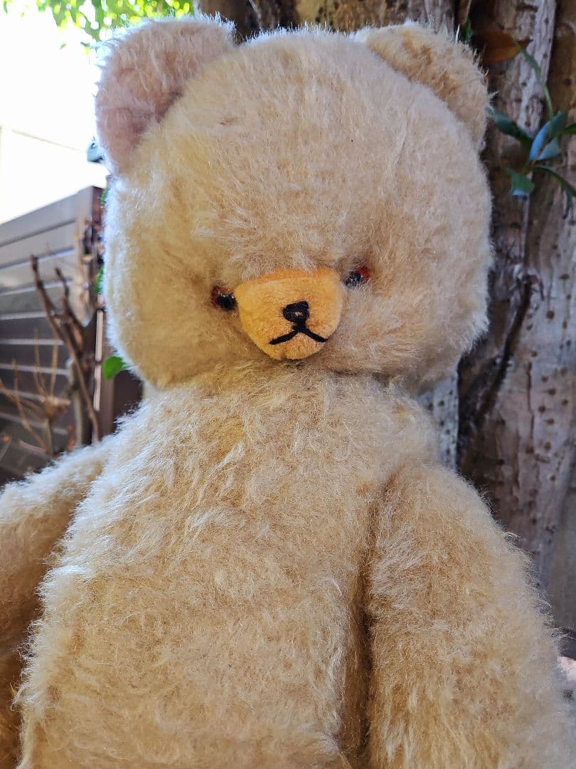 レア☆ DDRベア ベビーフェイスが可愛い大きな子 ʕ•ᴥ•ʔ