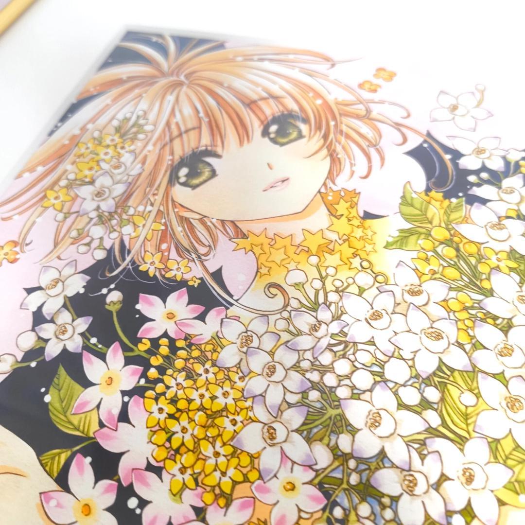 カードキャプターさくら展 限定 複製原画 D 版画 ポスター 箱なし CLAMP