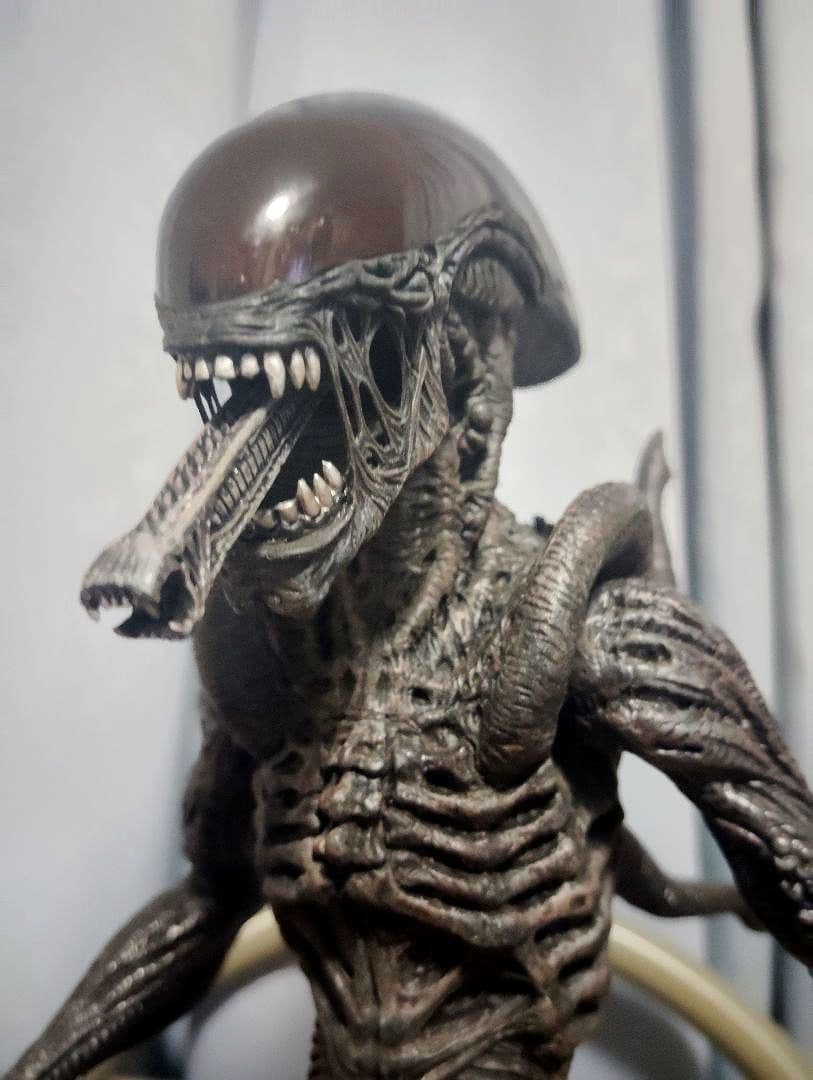 2006.HOTTOYS MM#017“AVP·Alien Warrior”
