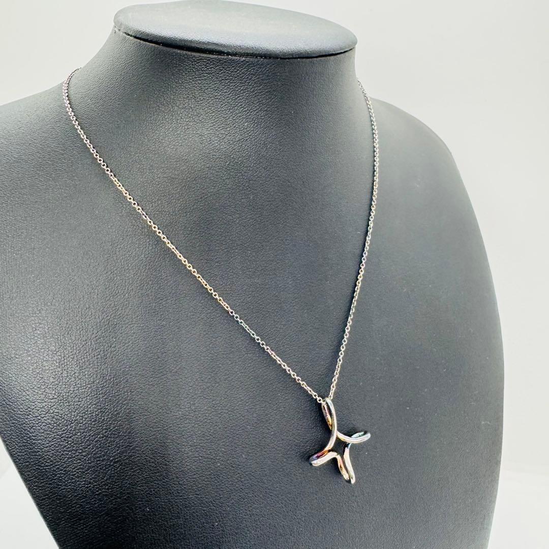 ✨Tiffany& Co.✨ティファニー✨インフィニティクロス✨ネックレス✨
