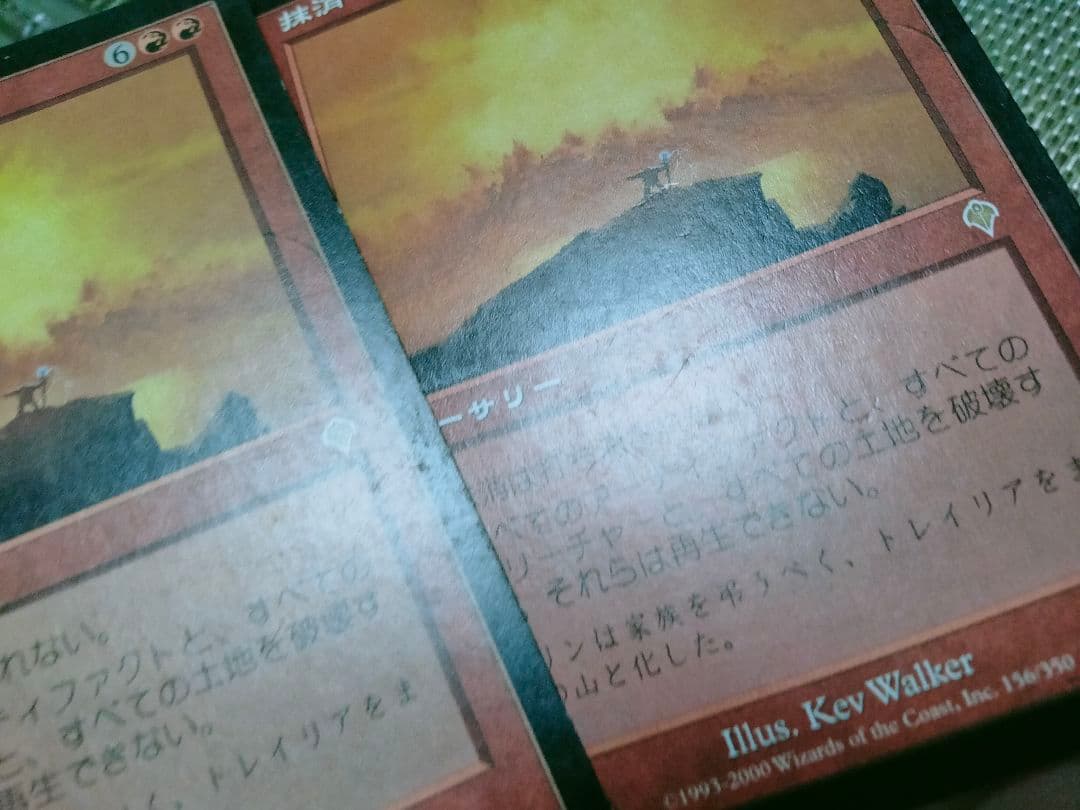 【ご確認用】インベイジョン 抹消b 日本語 1枚　MTG