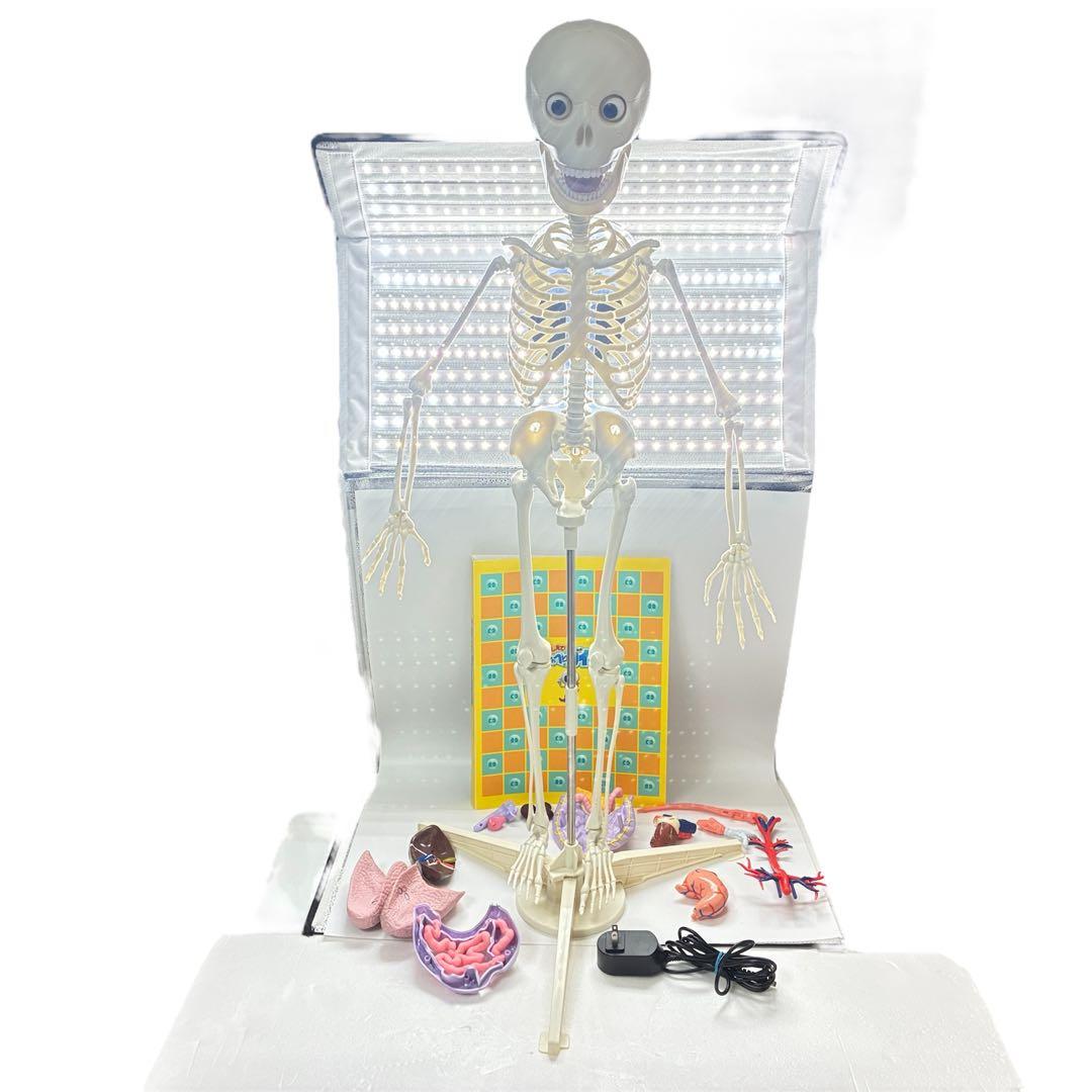 デアゴスティーニ　おしゃべりガイコツ　ホネッキー1～70