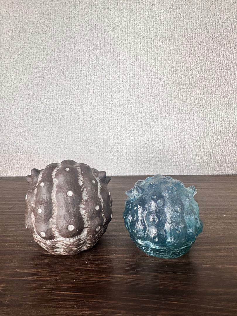 羅本製所 Copiapoa Daruma 入手困難セット
