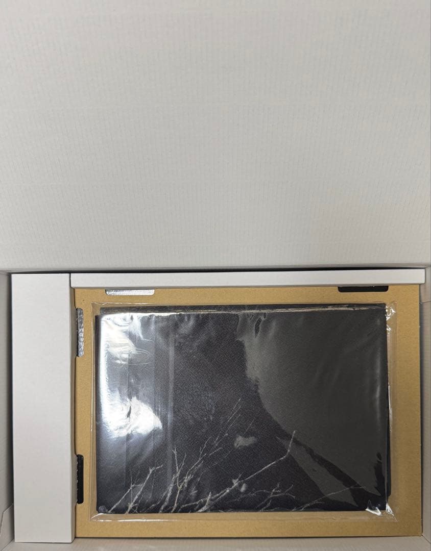 バイオハザード8 コレクターズエディション